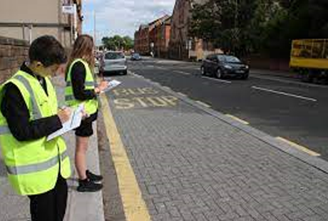 Manual surveyor observation